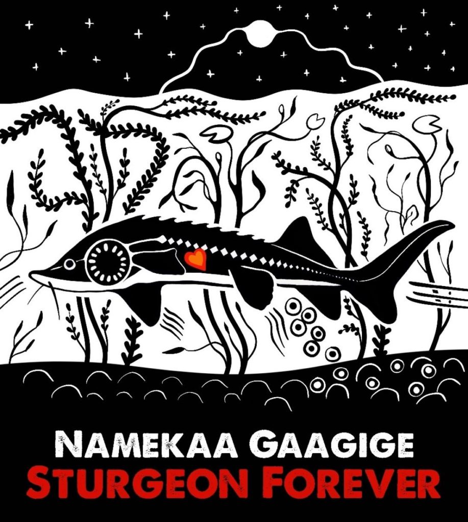 A beautiful artwork of a sturgeon swimming through plant-filled waters, rendered in black and white with a visible red heart at the core of the fish. Below the image, text reads 