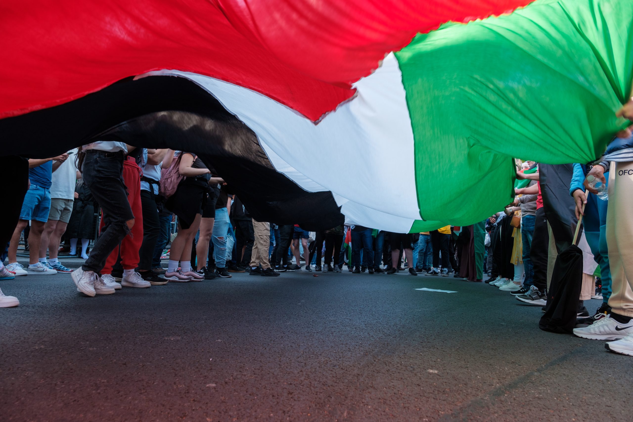 All Out for Palestine: Against Queer Silence and Complicity
