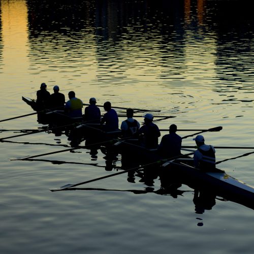 A team of people, silhouetted, rowing in a long boat on a lightly rippled water surface in dusky light.